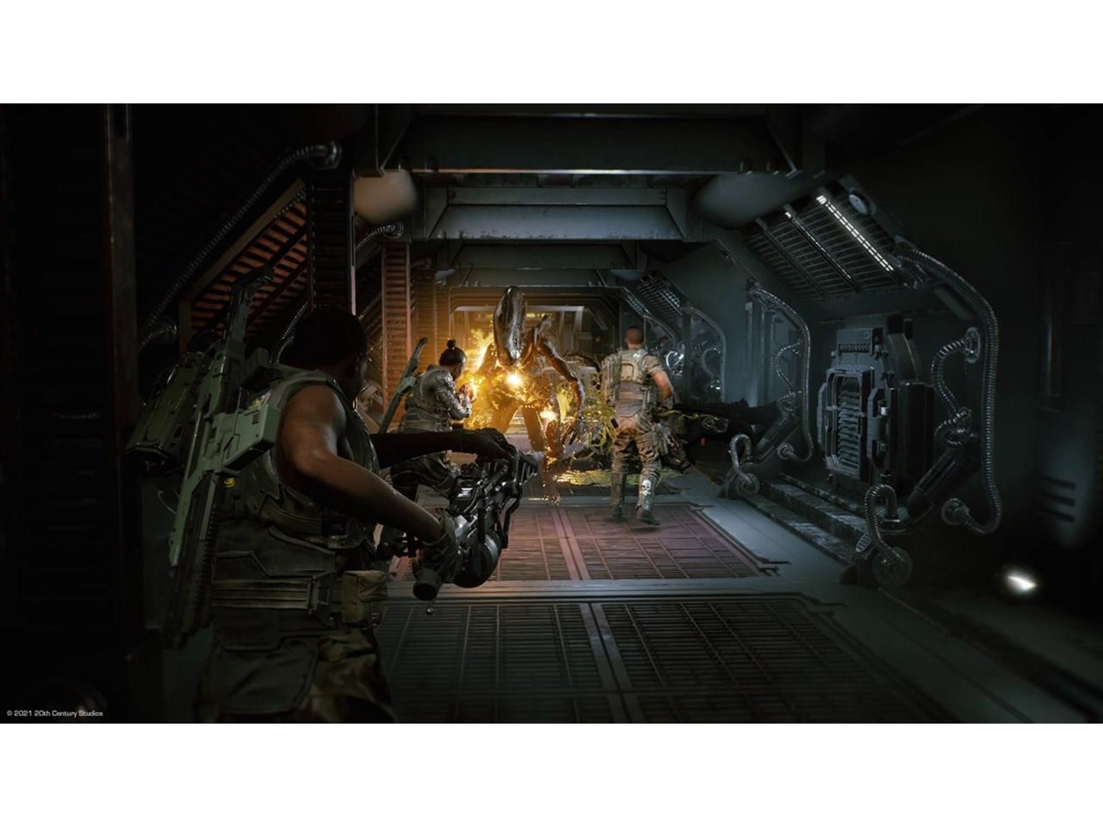 FOCUS Aliens : Fireteam Elite - Jeu Vidéo Authentique Et Durable