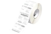 Papir, Fotopapir & Etiketter - Zebra Z Trans 5P - mat permanent selvklæ - 880026-038
