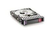 Harddisk - HP Dual Port - 300GB - Harddisk - 493083-001 - Serial Attached SCSI - 2.5" - 493083-001