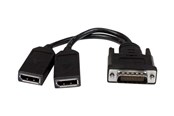 Skjermkabel - StarTech.com LFH 59 Male to Dual Female DisplayPort DMS 59 Cable - DMSDPDP1