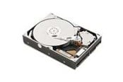Harddisk - IBM - 1TB - Harddisk - 81Y9731 - SATA-600 - 2.5" - 81Y9731