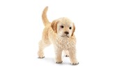 Schleich - Schleich Golden retriever-valp - 16396