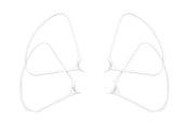 Droner - DJI - Prop Guard P4 Pro/+ Part 62 - CP.PT.000599