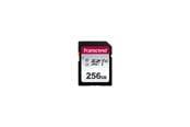 Minnekort - Transcend 300S SD - 100MB/s - 256GB - TS256GSDC300S