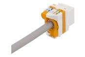 Tilbehør - Deltaco MD-123 Cat6A Keystone jack toolless plastic white/orange - MD-123
