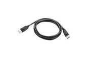 USB - Lenovo DisplayPort cable - 1.8 m - 03X6405