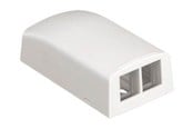 Tilbehør - PANDUIT Netkey 2-position surface mount box - NK2BXAW-A