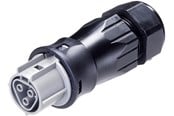 Kabler og ledninger - Wieland Rst25i3 plug female 3-pol 250v/32a 0.75-6mm2 ø=13-18mm grey - 96.031.4554.3