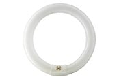 LED-lyspære - Philips Lysrør Master TL-E Circular 32W/840 G10q - 928026384070