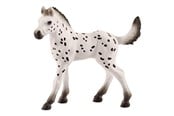 Schleich - Schleich Knabstrupperføll - 13890