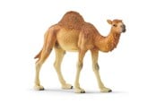 Schleich - Schleich Dromedar - 14832