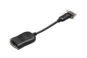 Skjermkabel - HP I DisplayPort to DVI-D Adapter - 484156-001
