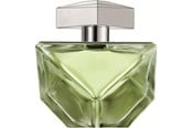 Parfyme & Dufter - Britney Spears Believe EDP - 100ml - 719346117722