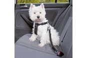 Hund - Trixie Car Harness Safety Belt S 60-60cm/25 mm Stomach Circum 60-60cm - TX-1290