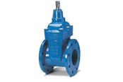 Vannforsyning produkter - Avk Gate valve avk 80mm wirh flanges - 06080308146499