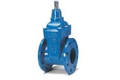 Vannforsyning produkter - Avk Gate valve avk 65mm wirh flanges - 06065308146499