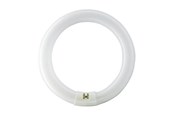 LED-lyspære - Osram Lysrør LUMILUX T9 C 40W 4000K G10q - 1000112163