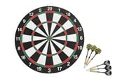 Hagespill - Dartskive med 6 piler - 93132