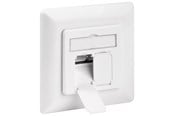 Nettverkskabel - Pro CAT 6a wall plate flush mounting white - 2x RJ45 - Hvit - 4040849687211