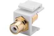 Nettverkskabel - Pro Keystone Cinch/RCA module - Hvit - 0cm - 4040849796760