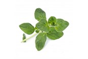 Smarthus - Veritable Lingot Organic Oregano - VLIN-A10-Ori00C