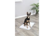 Hund - Jolly Paw Hygieniske valpeunderlag Puppy Pads 40x60cm (7-pakning) - JP26000