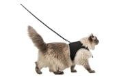 Katt - Trixie Soft harness cat with leash XXL 36–54 cm 1.20 m black - TX41895