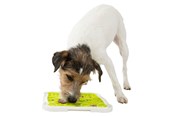 Hund - Trixie Lick'n'Snack Plate 20x20cm - TX34952