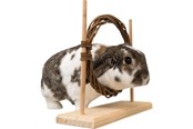 Smådyr - Trixie Smådyr Agility Sett med Ring & Hinder for Rotter Dvergkaniner 28x26x11cm - TX61910