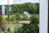 Fuglebur, -hus & tilbehør - Trixie Fuglehus for vindu 225ml - TX55610
