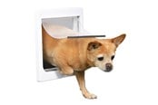 Hund - Trixie 2-Way dog flap with tunnel XS–S: 25 × 29 cm white - TX3877
