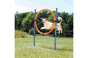 Hund - Trixie Fun Agility Ring – Justerbar treningsring for hunder - TX3208