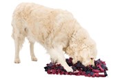 Hund - Trixie Dog Activity Sniffing Carpet Strategy Game 50x34cm - TX32037
