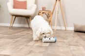 Hund - Trixie Hundeaktivitetsleke Snack-Rull - TX32020