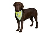 Hund - Trixie Sikkerhets-halstørkle for hunder S-M 29-42cm - TX30122