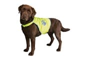 Hund - Trixie Dog Safety Vest Reflective XS Length 21cm Stomach Circum 34-40cm - TX30080