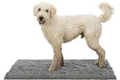Hund - Trixie Smussabsorberende matte 60x50cm - TX28534