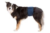 Hund - Trixie Washable Nappies for Male Dogs S-M Waist 37-45cm - TX23662
