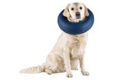 Hund - Trixie Protective Collar Inflatable M 40-45cm - TX19546