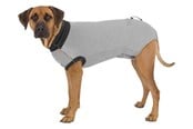 Hund - Trixie Beskyttende restitusjonsbody for hunder Størrelse: M-L Rygglengde: 50cm - TX19536