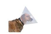 Hund - Trixie Protective collar plastic XS–S: 22–25 cm/10 cm - TX19481