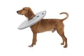Hund - Trixie Protective collar polyester/foam S: 30–34 cm/19.5 cm grey - TX19423