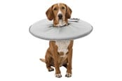 Hund - Trixie Protective collar polyester/foam XS: 23–27 cm/13 cm grey - TX19422
