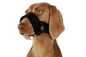 Hund - Trixie Muzzle loop nylon L–XL black - TX19282