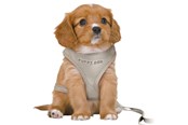 Hund - Trixie Junior Puppy Myk Sele med Bånd Størrelse S-M Mageomkrets 26-34cm - TX15560