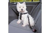 Hund - Trixie Car Harness Safety Belt XS 20-50cm/25 mm Stomach Circum 20-50cm - TX1288