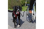 Hund - Trixie Biker-set L-shaped S–M black - TX1287