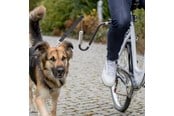 Hund - Trixie Sykkelsett for Trygg Hundesykling U-formet Størrelse M-XL - TX12860