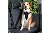 Hund - Trixie Comfort car harness L: 65–80 cm/23 mm black - TX12857