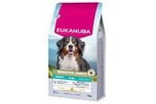 Hund - Eukanuba Special Care Adult Dogs with Sensitive Joints – dry dog food – 12 kg - DLPEUKKAS0062